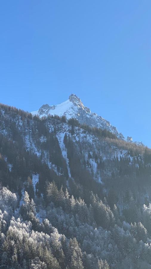 Chamois De Chamonix, Confortable 2 Pieces, Balcon, Parking Gratuit Eksteriør bilde
